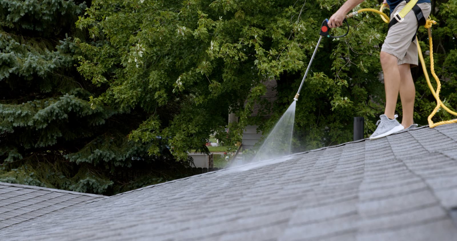 Technician spraying rejuvenation treatment across an asphalt shingle roof ridge